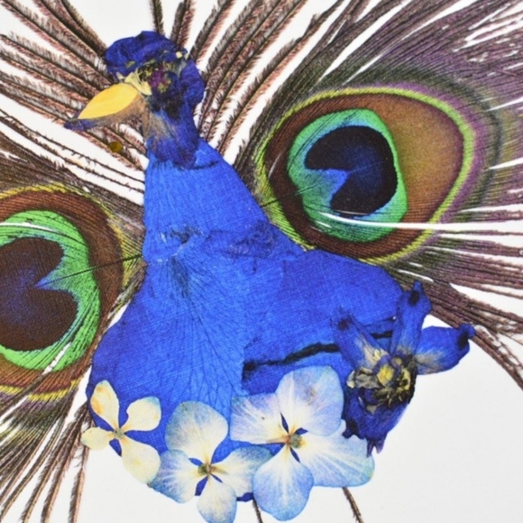 Real pressed flower 8x10 peacock art print - Picture 2 of 4